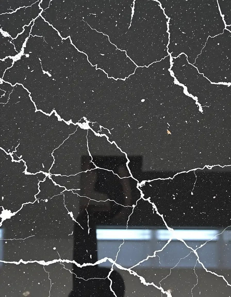Polished Black Granite Countertop Slab with veining