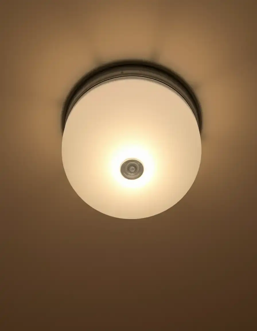 Dome ceiling light with frosted glass