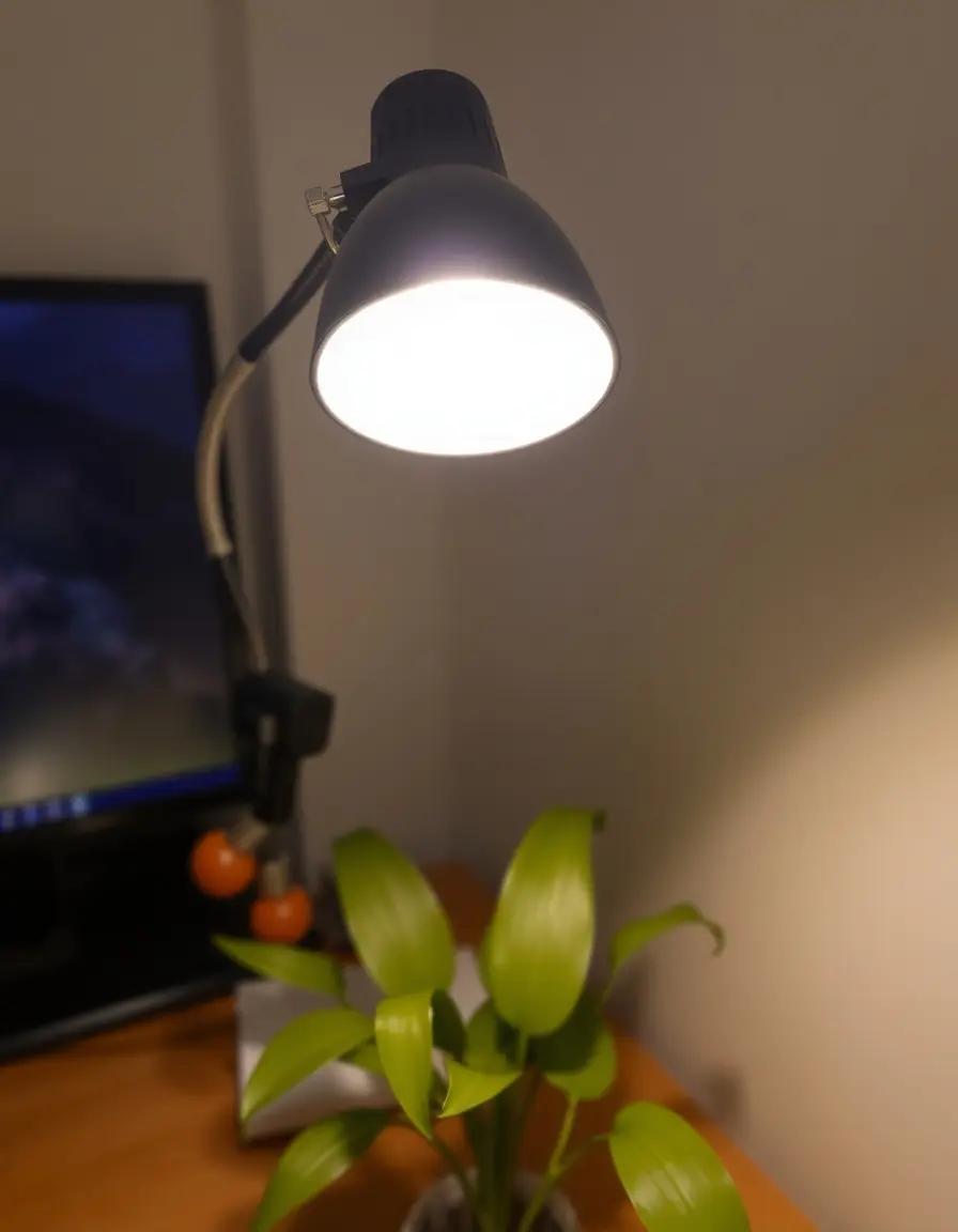 Clamp Lamp for Shelf gooseneck adjustable