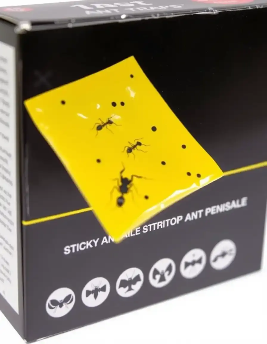 Pack of 12 sticky ant traps for kitchen use