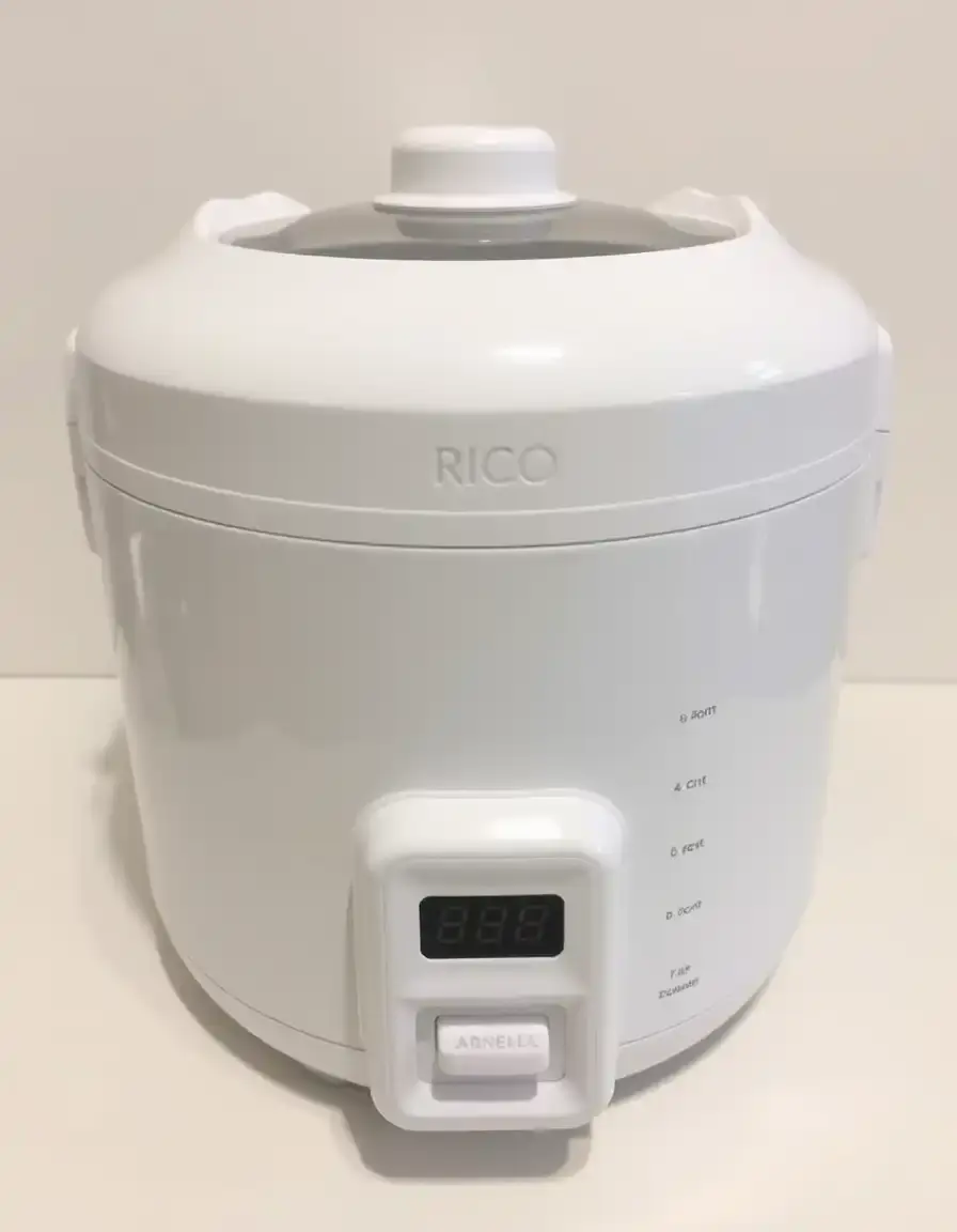 Electric Rice Cooker with Steamer
