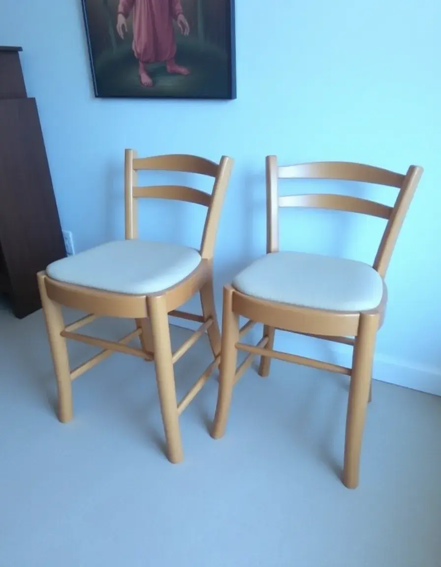 Wooden Kitchen Chair Set with Cushioned Seats